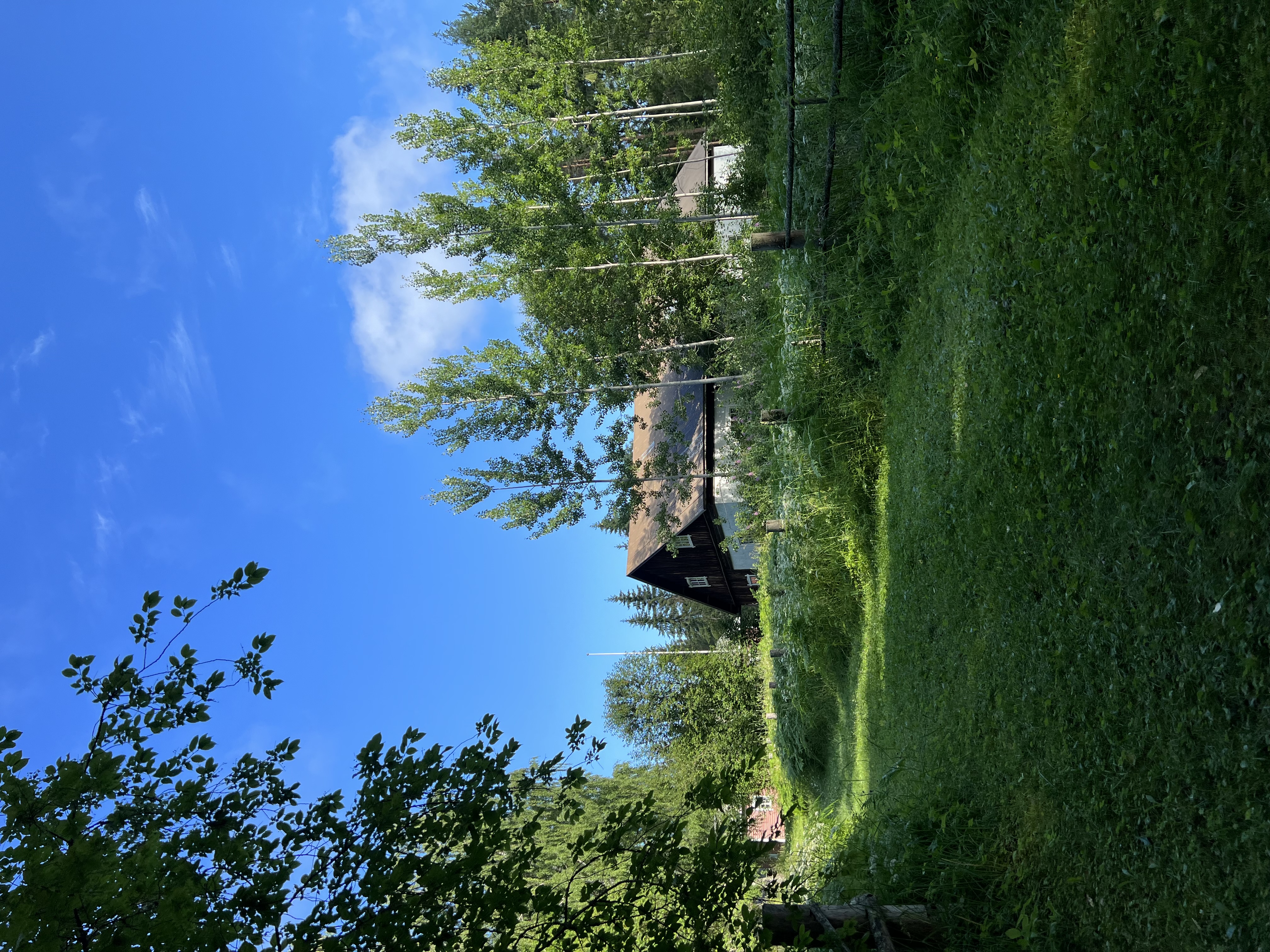 Kuva Lehtisensaaressa sijaitsevan Ristniemen perinnetila pihapiiristä.