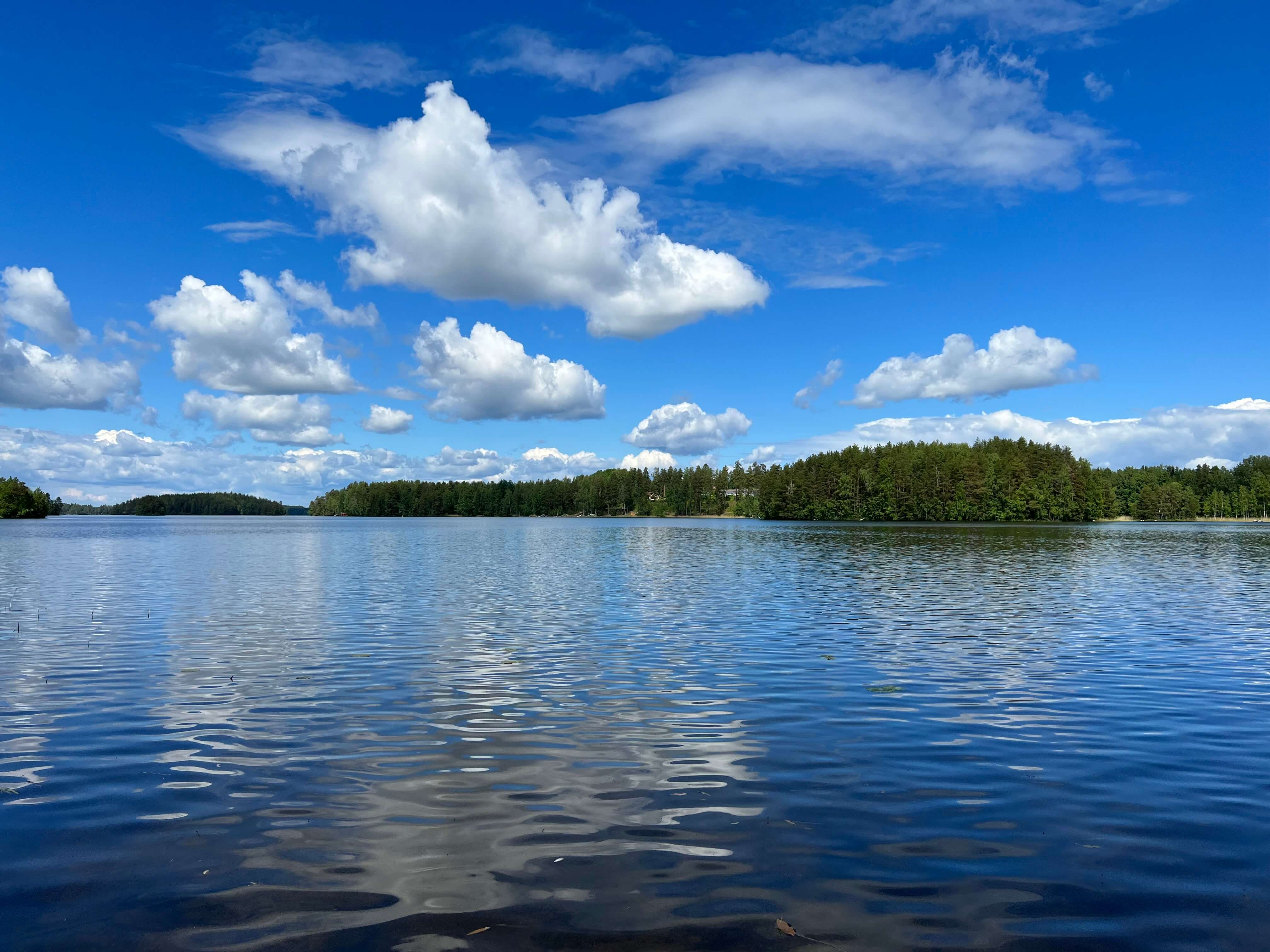 Kuva kesäisestä Kuolimosta.