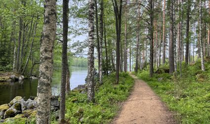 Kuvassa polku metsässä Kärnäkoskella.